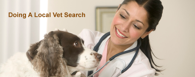 local vet search