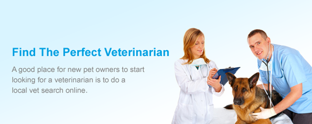 Find The Perfect Veterinarian