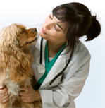 Local veterinarian clinics